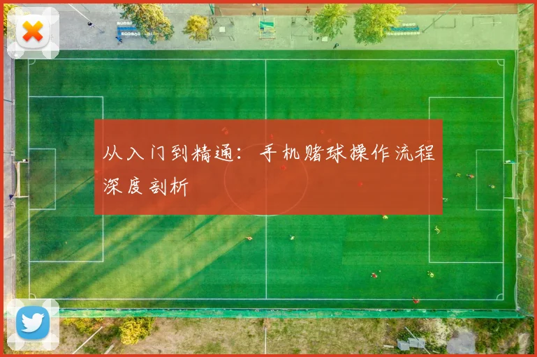 从入门到精通：手机赌球操作流程深度剖析